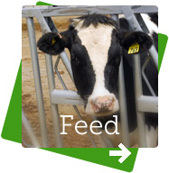 BioVitall Powder for feed
