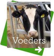 BioVitall voor voeders