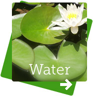 BioVitall voor water